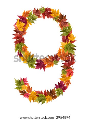 The number nine made from autumn maple tree leaves.