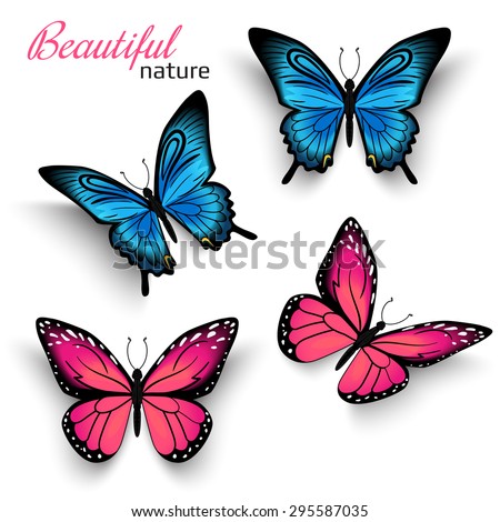 Beautiful realistic butterfly with shadows isolated on white. Vector illustration of tropical blue and red butterflies. Realistic nature butterfly for graphic decoration