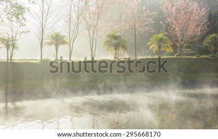 misty autumn morning on a lakeside