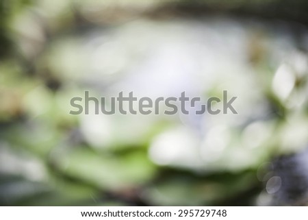 Natural abstract blur focus for background.