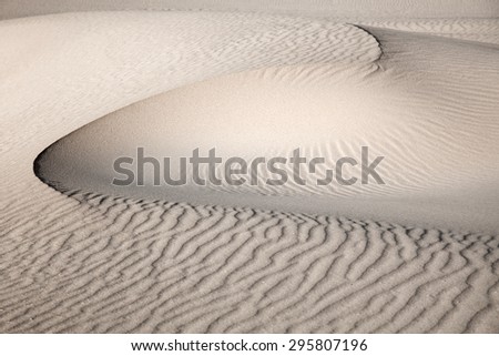 Northern Fuerteventura, Canary Islands, nature reserve Dunes of Corralejo