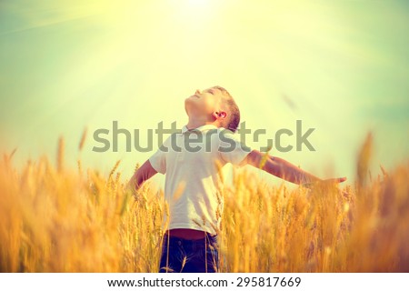 Little boy on a wheat field in the sunlight enjoying nature. Kid Raising hands over sunset sky background. Fresh air, environment concept