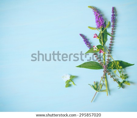 Top Above View of Pretty Purple, Red and White Flowers in Casual, Vertical Bunch on Cyan blue Painted, Rustic Wood Board Background with empty room or space for copy, text, your words.  Horizontal
