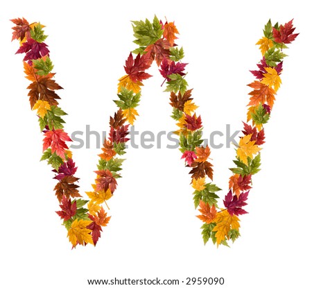 The letter W made from autumn maple tree leaves.