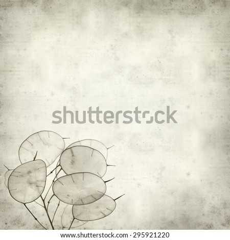textured old paper background with Lunaria annua, silver dollar plant