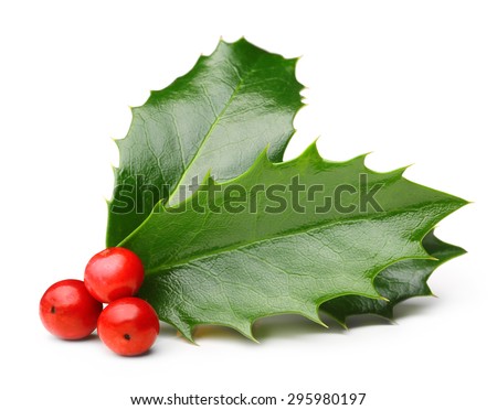 Holly berry leaves Christmas decoration isolated on white background Royalty-Free Stock Photo #295980197