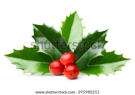 Holly berry leaves Christmas decoration isolated on white background Royalty-Free Stock Photo #295980215