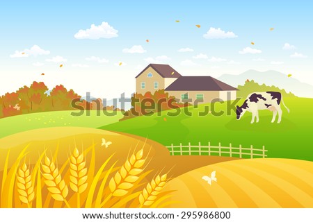 Vector illustration of a beautiful fall countryside scene with a grazing cow and wheat fields