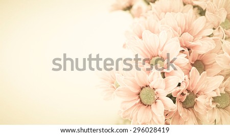vintage color Chrysanthemums on mulberry paper texture