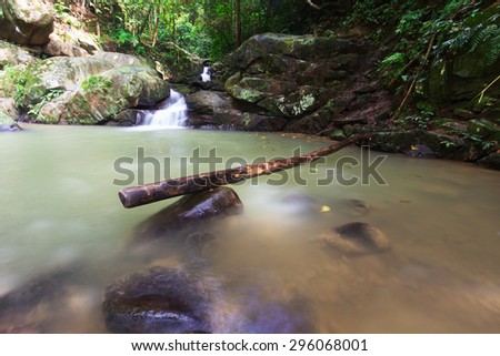 A water stream flowing in the jungle.