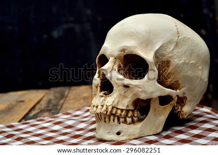 Human skull on old wood background, halloween.