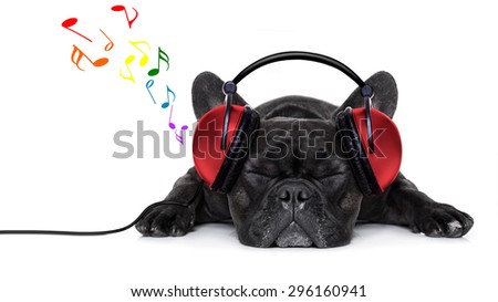 french bulldog dog listening to music with earphones or headphones,while relaxing or sleeping on the floor, isolated on white background