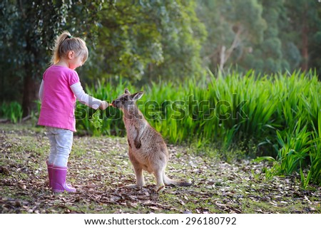 cute girl feeding kangaroo at zoo