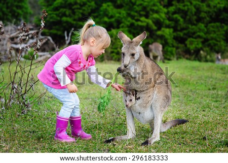 Little girl playing with Kangaroo at zoo