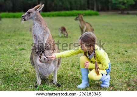 Little girl playing with Kangaroo at zoo