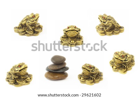 Golden frogs over white