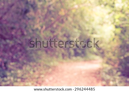 Blurred background : Walking trail in lush green tropical forest. Beautiful autumn morning in the forest. Way in deep forest. Dark forest and a road. Vintage retro effect style pictures.
