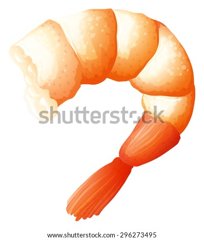 Shrimp tail on white illustration