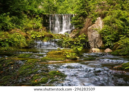 waterfall in summer