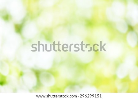 Summer soft light abstract background  with bokeh. Green and yellow color
