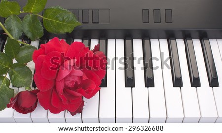 Background of synthesizer keyboard with rose, close-up.