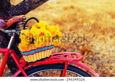 Vintage Bicycle with flowers on landscape background (toned picture)