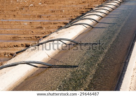 an irrigation canal and siphon tubes beside a field in Arizona
