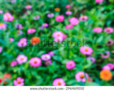 blurred of flowers stock photo
