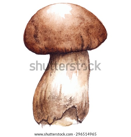 Watercolor one white porcini mushroom isolated vector
