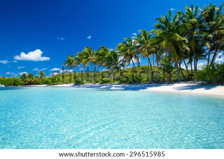 Palm and tropical beach Royalty-Free Stock Photo #296515985