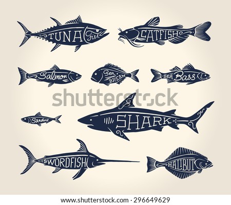 Vintage illustration of fish with names in tattoo style over white background