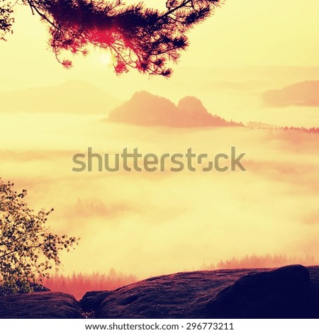  Amazing place with red dreamy mist in valley