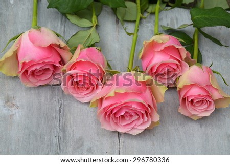 Row of pink yellow roses  decoration on a old wooden grey background 
