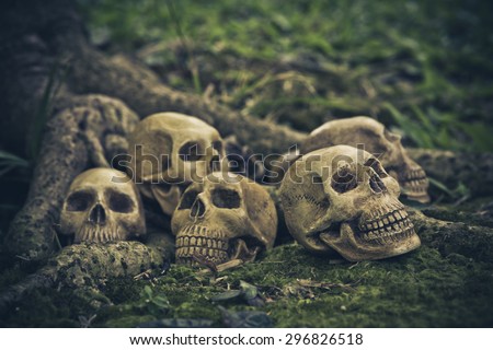 Still Life with human skull  on the roots abstract concept