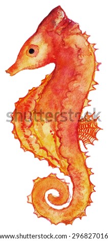 Watercolor seahorse red yellow orange isolated clip art vector
