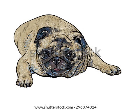 Drawing pug dog lying on white background