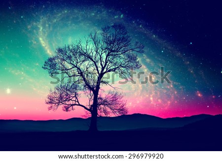 red alien landscape with alone tree over the night sky with many stars - elements of this image are furnished by NASA Royalty-Free Stock Photo #296979920