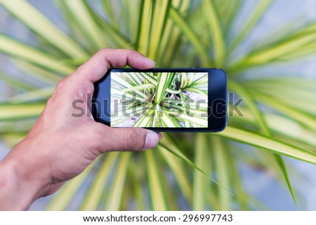 Phone camera with green leaf