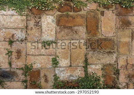 Grass between bricks Royalty-Free Stock Photo #297052190