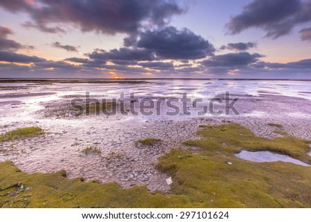 Land being reclaimed on the Groningen coast in a tidal salt marsh of the Waddensea, Netherlands