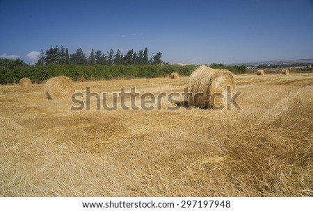 Hayfield and haystack