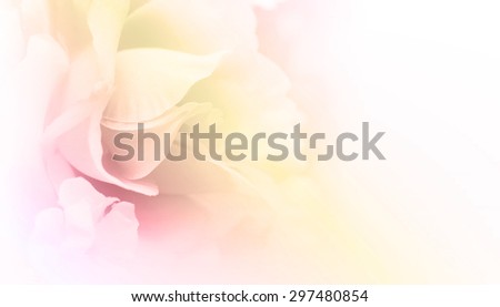 Pastel color fabric roses in soft style for background