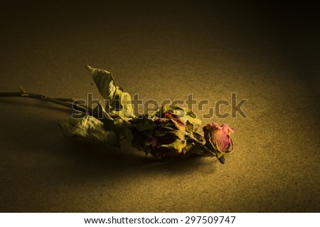 Vintage still life . Old wither roses  on wood background in the dark room. Lonely time. Dark tone.
