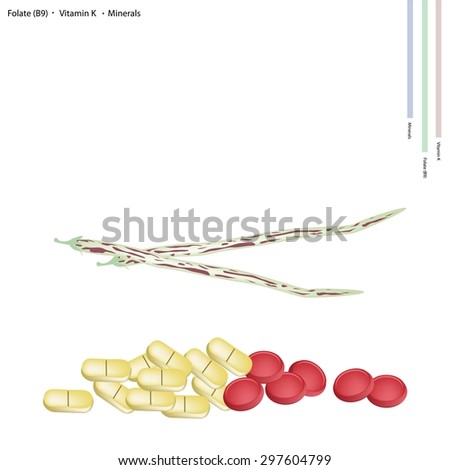 Healthcare Concept, Illustration of Centrosema Pubescens Bean Pods with Folate or B9, Vitamin K and Minerals Tablet, Essential Nutrient for Life. 