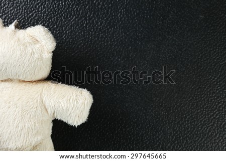 The fabric bear doll represent the girl toy concept related idea.