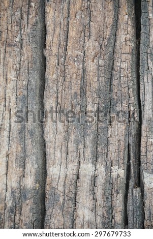 Wood Texture. Old wood  background.