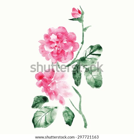 vector rose for design, watercolor roses branch