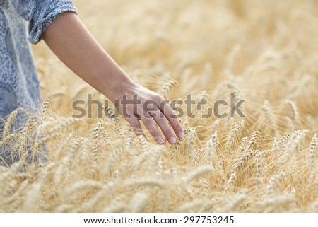 Meadow grass in the morning sun, young woman walking
