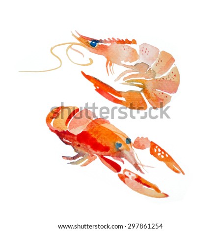 Watercolor shrimp, lobster