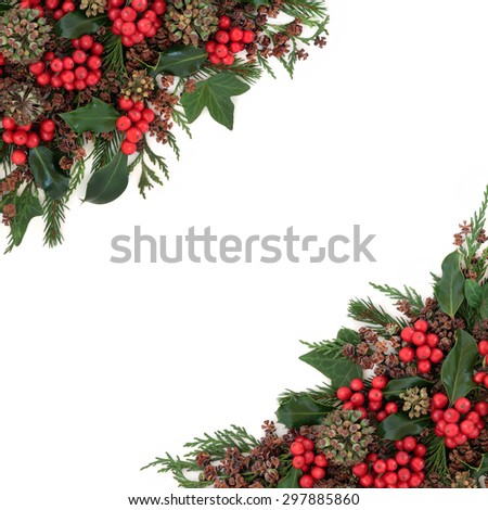 Christmas and winter flora with holly, ivy, fir and cedar cypress over white background.
